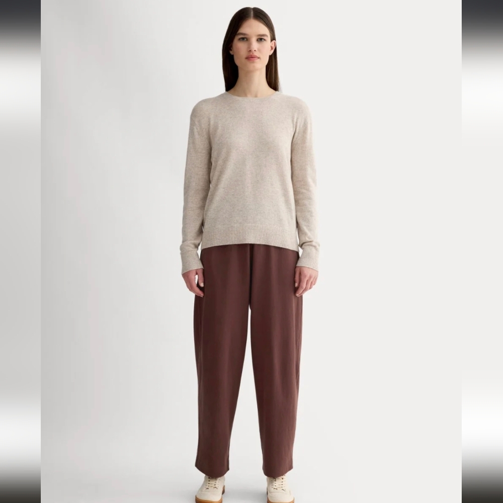 Everlane Dark Mahogany Cotton Barrel Pants NWOT